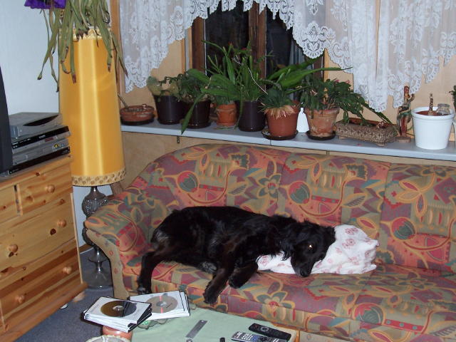 100_1345.JPG