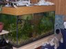 100_1376.JPG